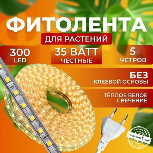                300 LED, 35  5    -     , -, 