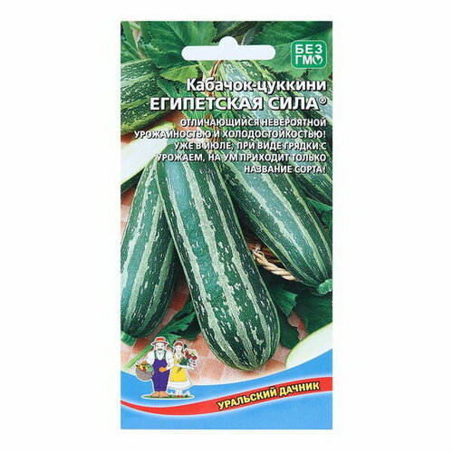 ���� ������ ������� 