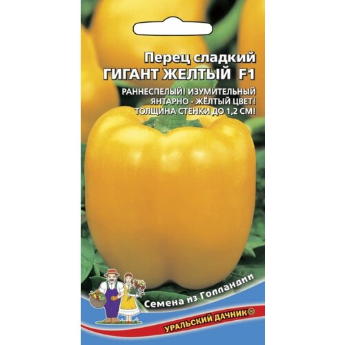 ���� ������ ����� ������ ������ F1 20�� (12��) ������ (��������� ������) ������ ������