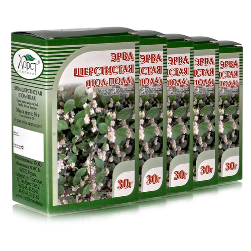 ���� ���� ���������� (���-����), ����� 30��, 5 �� ������ ������