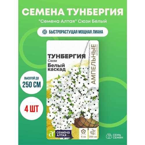 ���� ������ ��������� 