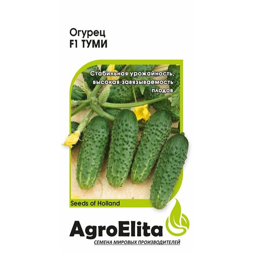     F1, 5, AgroElita, Enza Zaden   -     , -, 