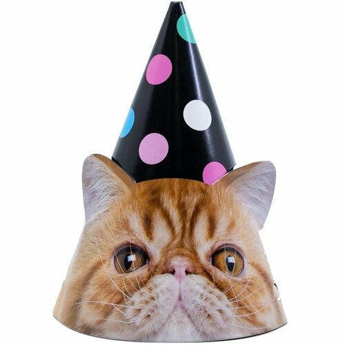 ���� ������ ������ ������������� 6 �� ������ ������