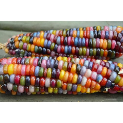 ���� ������ �������� ���������� ����������� ������ (Glass Gem) / Seeds And Goods / � �������� zip-lock ��� ���������� 10 ����� ������ ������