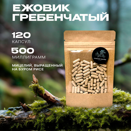 ���� ������ ����������� (������) � �������� 120 �� / ���� �� ����� / ��������� ������� / ����� ����� ������ ������