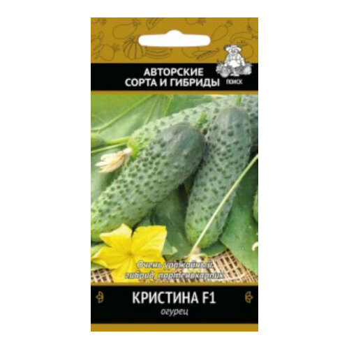 ���� ������ ������ �������� F1 12�� ������������������ ������ (�����) ����� ������ ������