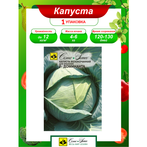 ���� ������ ������� ������������ ��������� ������������ 0,2 ��. ������ ������