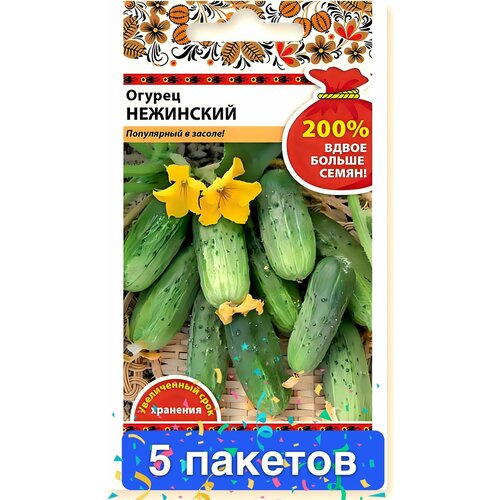 ���� ������ ������ ������� ������ 