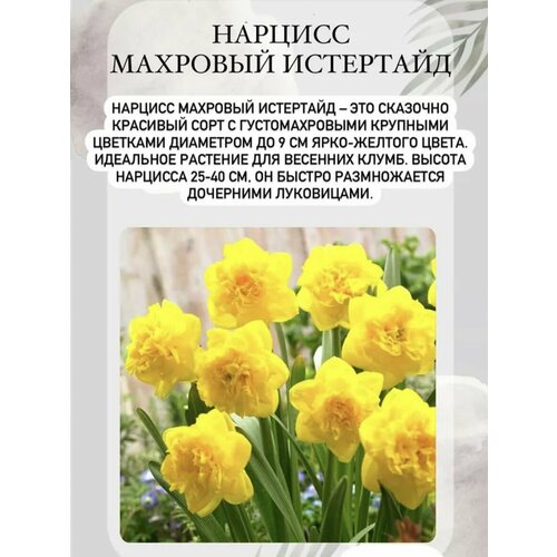 ���� ������� ���������� ����� 3 �� ������ ������