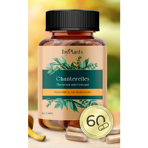 ���� ���������������� �������� - ������� ������� � �������� 60 ��. ������ ������