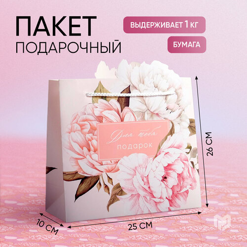 ���� ����� ���������� ���� ���� �������, 25 ? 26 ? 10 �� ������ ������