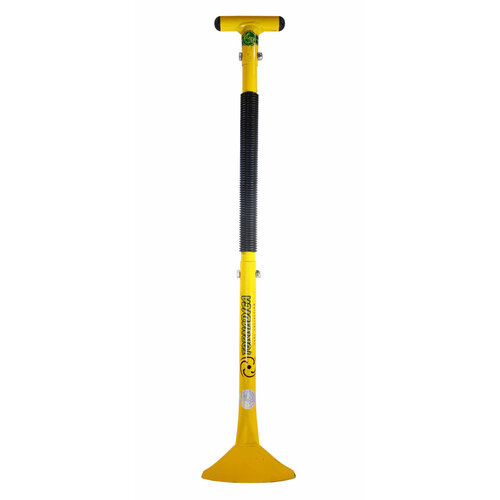 ���� ������� ������� ��������� (������������ ������) ������ ������