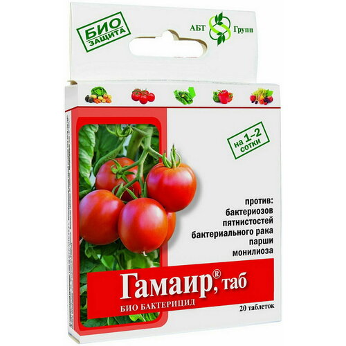 ���� ������, ��� (20 ��������) ��� ������ ������ ������