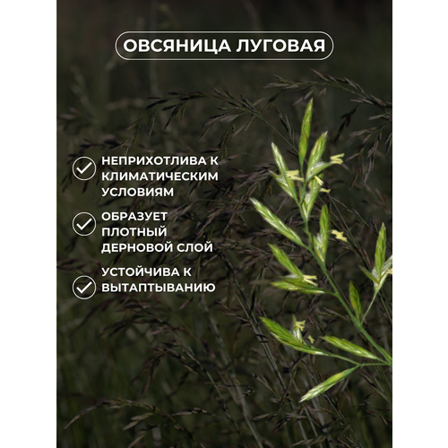 ���� �������� ����� ������ �������� ������� 20��, ������� ���� ������ ������