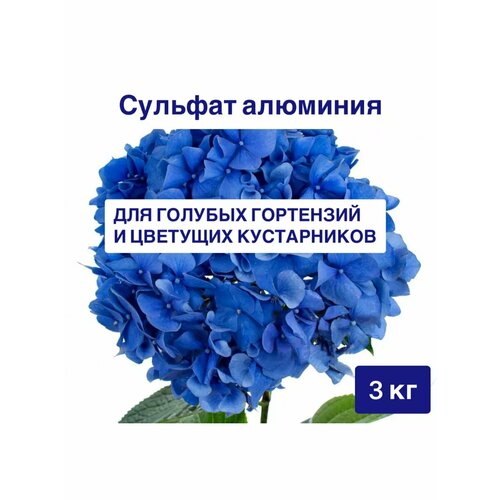 ���� ������� �������� ��� ��������� 3 �� ���� ������ ������