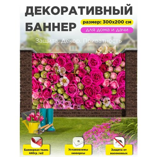 ���� ��������� ������ �� ����� 300 �� � 200 �� � ��������� ������ ������