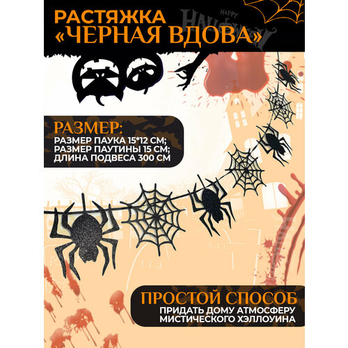 ���� �������� 