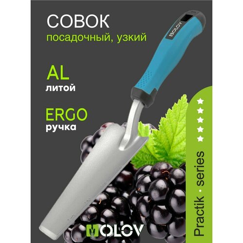 ���� ����� ������� `OLOV �������` �������������, ����������, ����� ������ ������