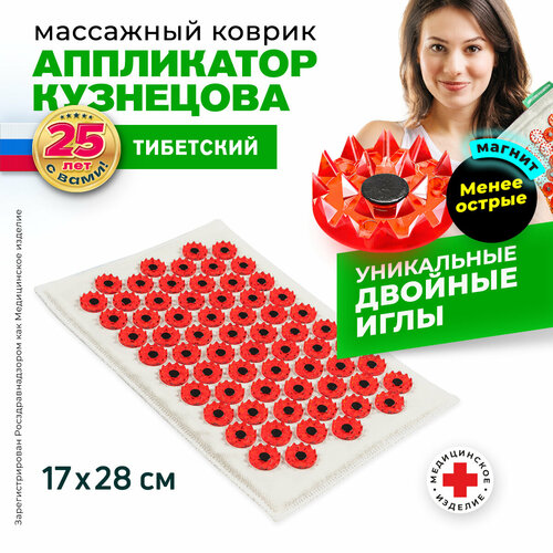 ���� ����������� ��������� ��������� ������ ��������� ���������� ��������� �� ������ �������� ��09  (����� ������ ����, ��������� �������) 28x17x10  ��, ������� ������ ������