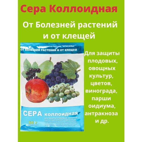 ���� ���� ����������, �� �������� ��������. ������ ������