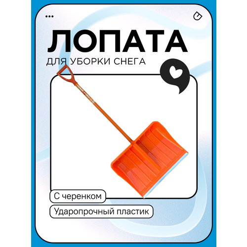 ���� ������ ��� ����� ������. 