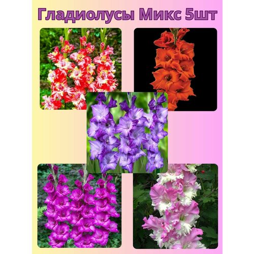 ���� ��������� ���������������, �������� ���������� ����2 ������ ������