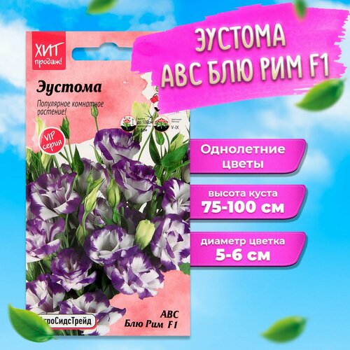 ���� ������ ������� ��� ��� ��� F1 5 �� ������������ ������ ������