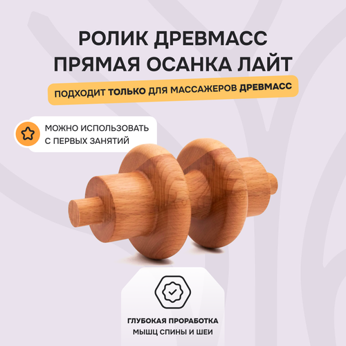 ���� ����� 