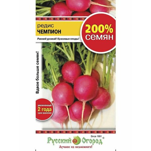 ���� ������. ����� 