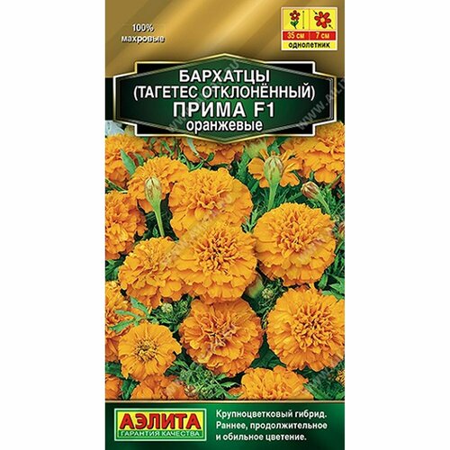 ���� ������ �������� ����� ��������� F1 ����������, (������) 10�� ������� ����� ������ ������