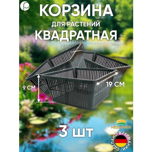 ���� ����� ������ ��� �������� ���������� 19�19�� - 3 ��, ���� ������, Heissner, �������� ������ ������