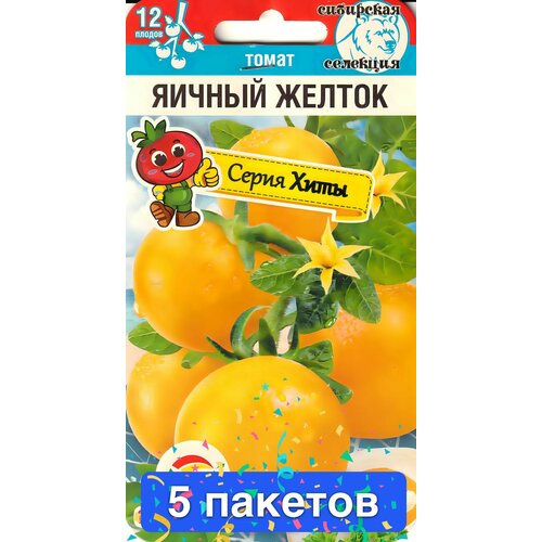 ���� ������ ������ ��������� ��� 