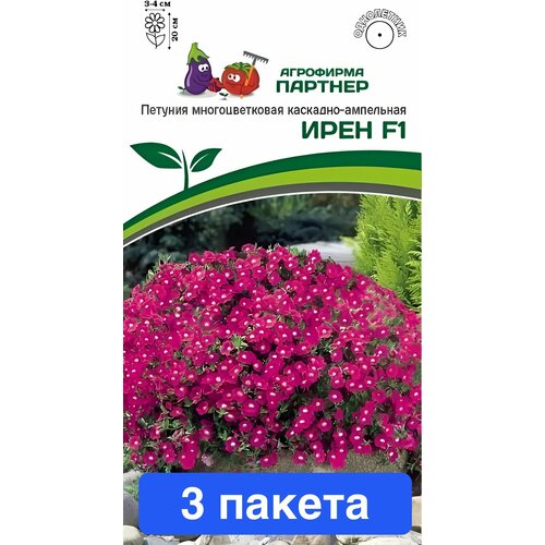 ���� ����� ������� ������ ���� F1 3 ������ ������ ������