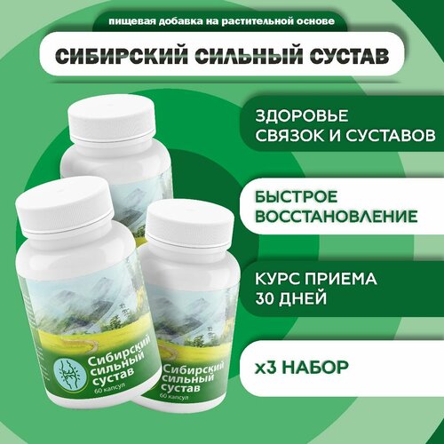 ���� �������� ��� �������� ��������� ������� ������ 60 ������ ������ ������