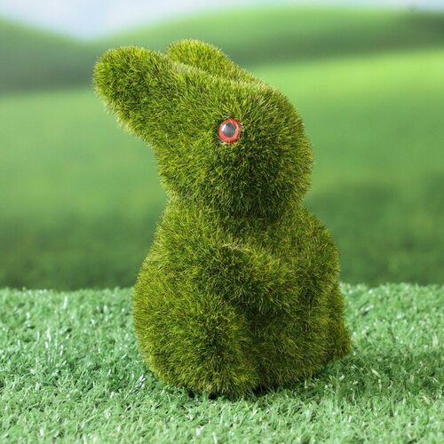 ���� ������ 