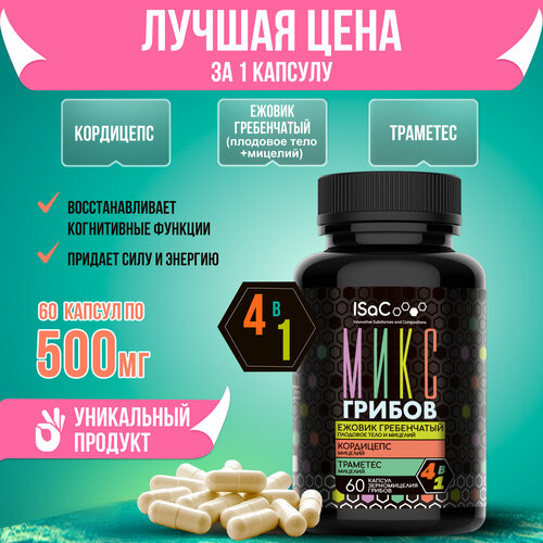 ���� ���� ������ ��� ����� ������ - ������ �����������, ��������, �������� ������ ������