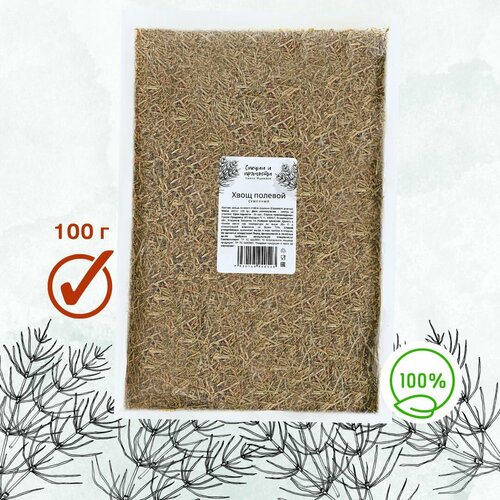 ���� ���� ������ ������