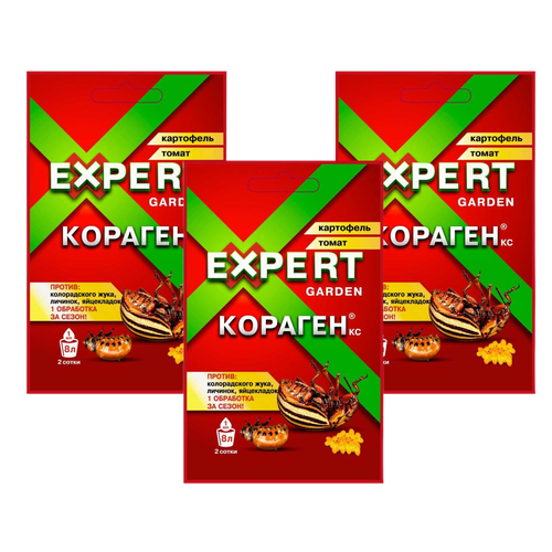 ���� ���������� �� ������������ ���� 