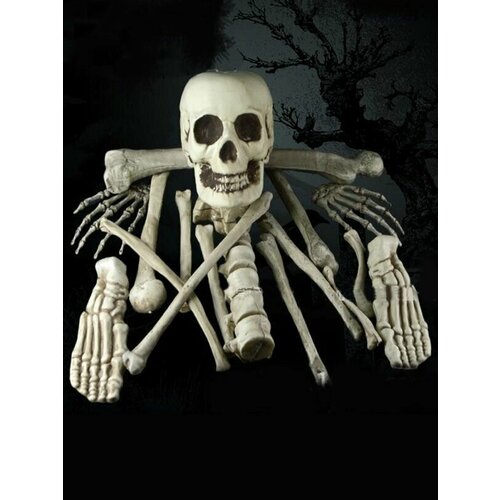 ���� ����� ������� �� �������� ��������� ����� ������ ������ ������