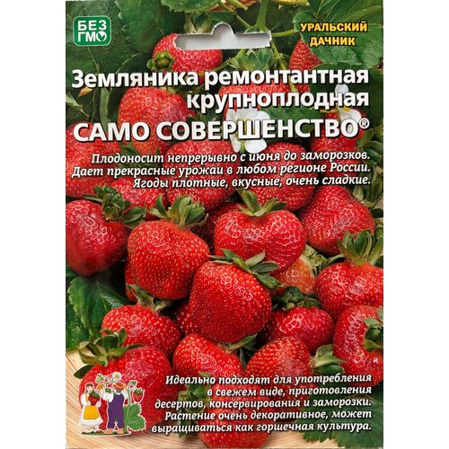 ���� ������ �������� ������������ ������������� 