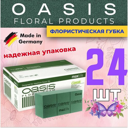 ���� �������������� �����, ��� ������, �������, ����� 24 �� ������ ������