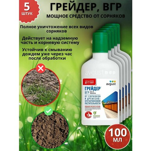 ���� ������ �������� �������� �� �������� �������, ��� 100 �� 5 �� ������ ������