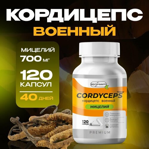 ���� ��������� ������� � �������� 700��, �������� ��� ���������� � ������ ������ ������