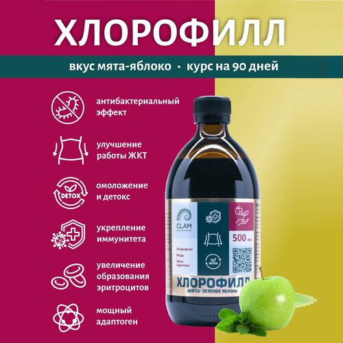 ���� ������ ������� ��������� ������ ������� ��� ��������� � ����������, 500 ��. (���) �� ������ ����-������� ������. 100 ������. ClamPharm ������ ������