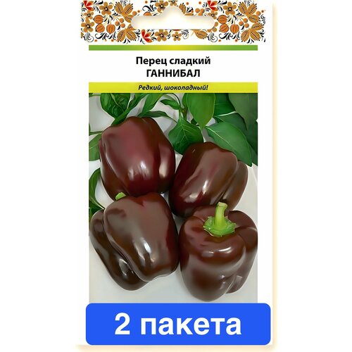 ���� ������ ������ ������� ������ 