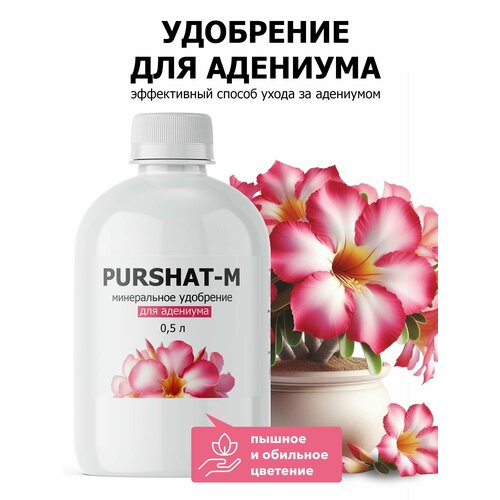 ���� ��������� ��� �������� ���������� ������-� 0,5 � ������ ������