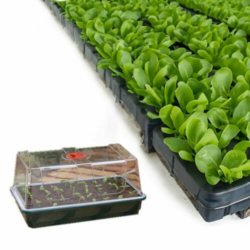 ���� �������� Garland MINI GROW BOX (SEMI-RIGID MEDIUM - G134) ������ ������