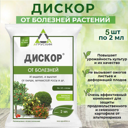 ���� ������ ��� ������ � ��������� �������� 5 �� �� 2�� ������ ������