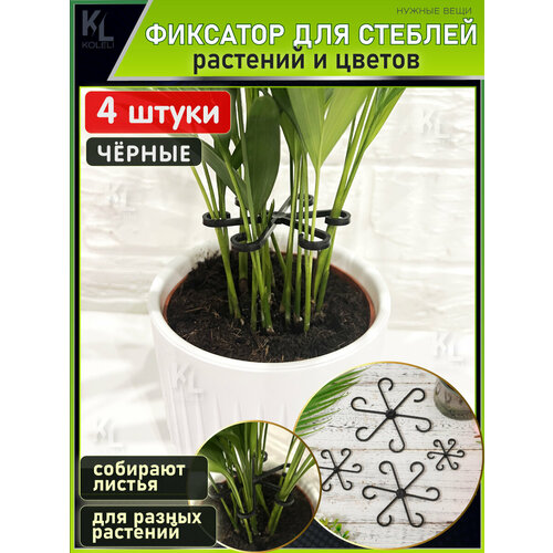 ���� KoLeli / ������ ����� ��� ����� ������� �������� / ������ ��� ��������� � �������� ������� � �����, ������ ������ ������