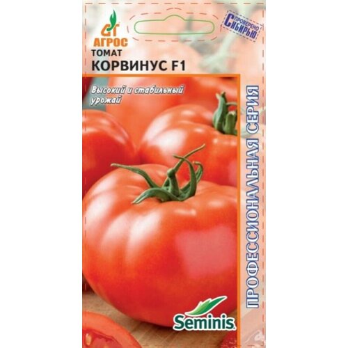 ���� ������ ����� �������� F1 5�� ������� ������ (�����) ������ ������